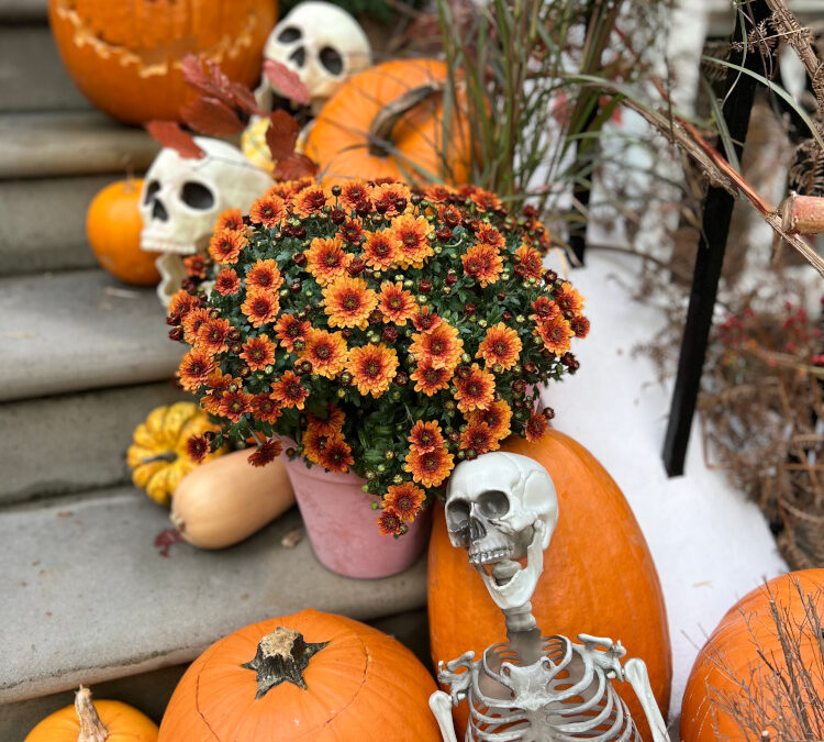 Halloween